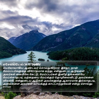 எசேக்கியேல் 34:10 TAMIRV Bible Verse Image