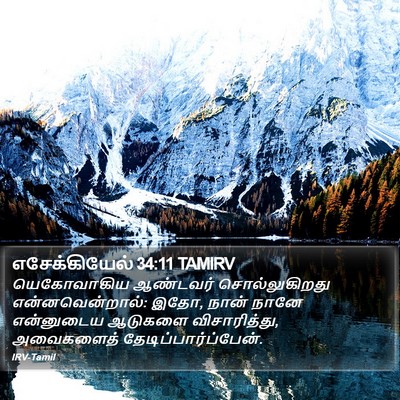 எசேக்கியேல் 34:11 TAMIRV Bible Verse Image