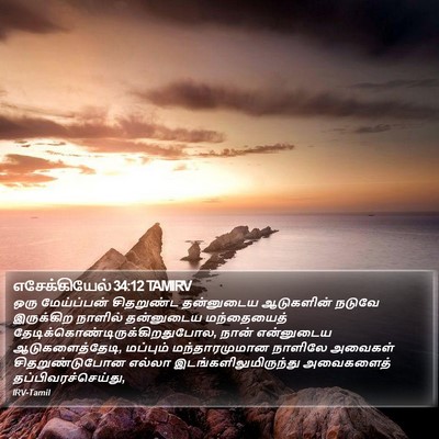 எசேக்கியேல் 34:12 TAMIRV Bible Verse Image