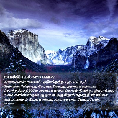 எசேக்கியேல் 34:13 TAMIRV Bible Verse Image