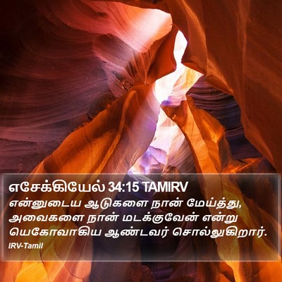 எசேக்கியேல் 34:15 TAMIRV Bible Verse Image
