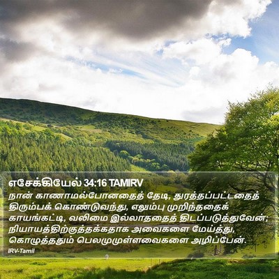 எசேக்கியேல் 34:16 TAMIRV Bible Verse Image