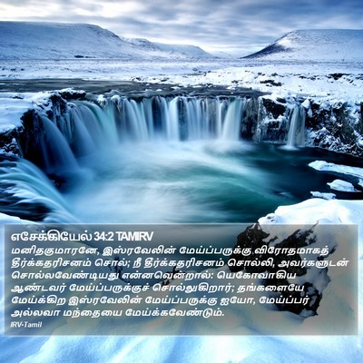 எசேக்கியேல் 34:2 TAMIRV Bible Verse Image