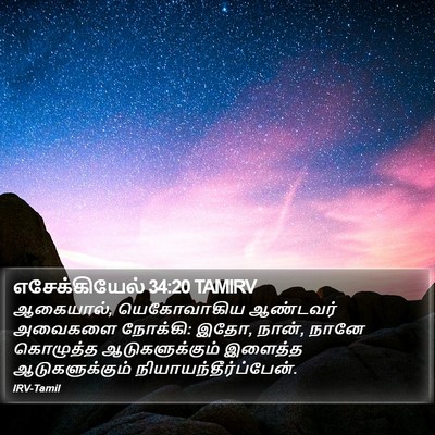 எசேக்கியேல் 34:20 TAMIRV Bible Verse Image