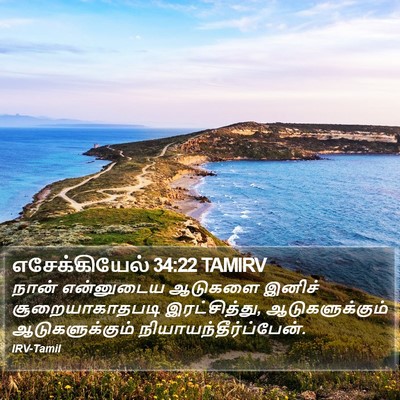 எசேக்கியேல் 34:22 TAMIRV Bible Verse Image