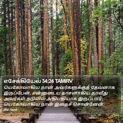 எசேக்கியேல் 34:24 TAMIRV Bible Verse Image