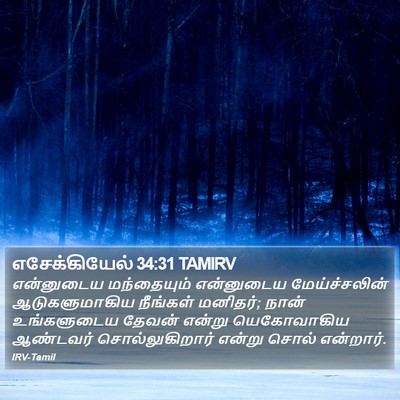 எசேக்கியேல் 34:31 TAMIRV Bible Verse Image