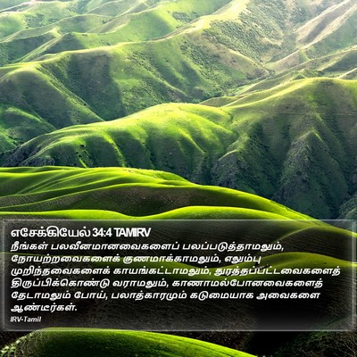 எசேக்கியேல் 34:4 TAMIRV Bible Verse Image