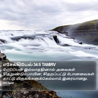 எசேக்கியேல் 34:5 TAMIRV Bible Verse Image