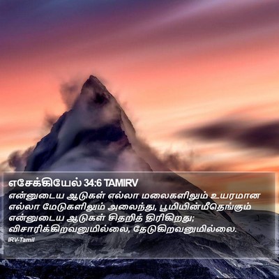 எசேக்கியேல் 34:6 TAMIRV Bible Verse Image
