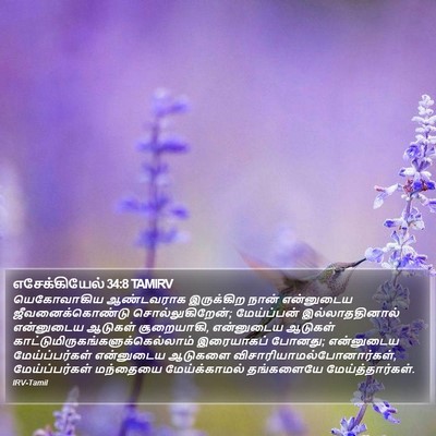 எசேக்கியேல் 34:8 TAMIRV Bible Verse Image