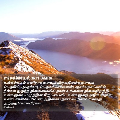 எசேக்கியேல் 36:11 TAMIRV Bible Verse Image