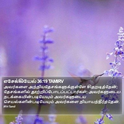 எசேக்கியேல் 36:19 TAMIRV Bible Verse Image