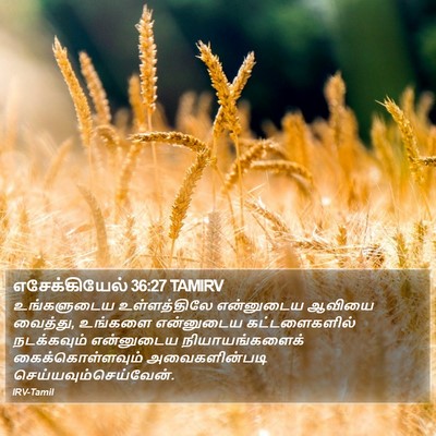 எசேக்கியேல் 36:27 TAMIRV Bible Verse Image