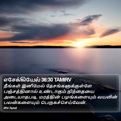 எசேக்கியேல் 36:30 TAMIRV Bible Verse Image