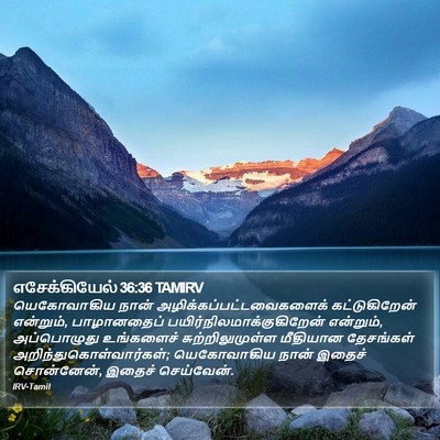 எசேக்கியேல் 36:36 TAMIRV Bible Verse Image
