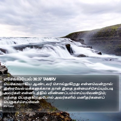 எசேக்கியேல் 36:37 TAMIRV Bible Verse Image