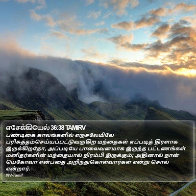 எசேக்கியேல் 36:38 TAMIRV Bible Verse Image