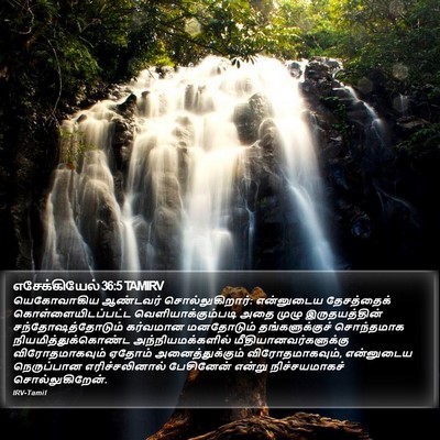 எசேக்கியேல் 36:5 TAMIRV Bible Verse Image