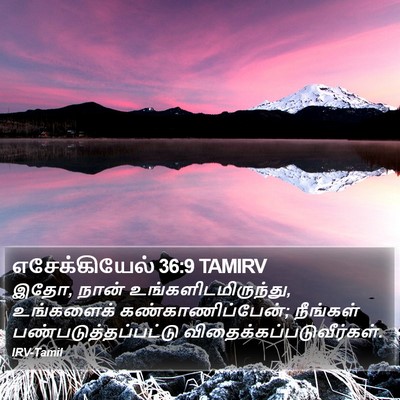 எசேக்கியேல் 36:9 TAMIRV Bible Verse Image