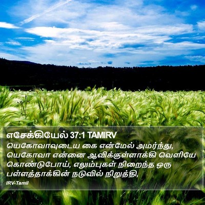 எசேக்கியேல் 37:1 TAMIRV Bible Verse Image