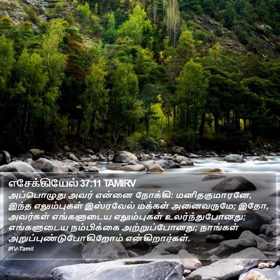 எசேக்கியேல் 37:11 TAMIRV Bible Verse Image