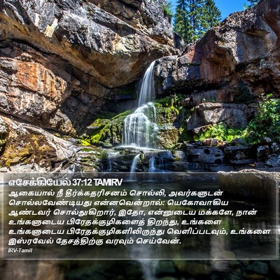 எசேக்கியேல் 37:12 TAMIRV Bible Verse Image