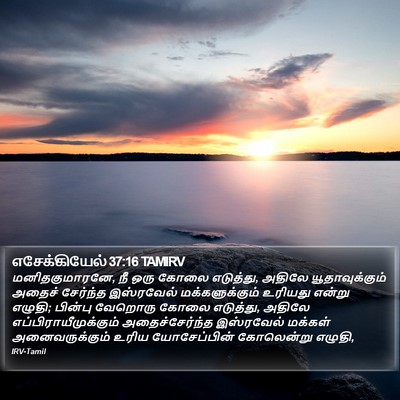 எசேக்கியேல் 37:16 TAMIRV Bible Verse Image