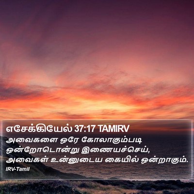 எசேக்கியேல் 37:17 TAMIRV Bible Verse Image