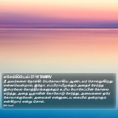 எசேக்கியேல் 37:19 TAMIRV Bible Verse Image