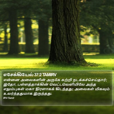 எசேக்கியேல் 37:2 TAMIRV Bible Verse Image