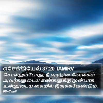 எசேக்கியேல் 37:20 TAMIRV Bible Verse Image
