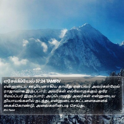 எசேக்கியேல் 37:24 TAMIRV Bible Verse Image