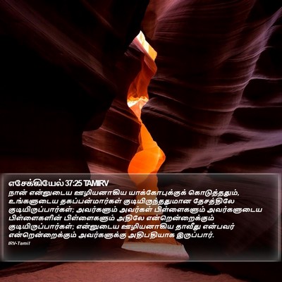 எசேக்கியேல் 37:25 TAMIRV Bible Verse Image
