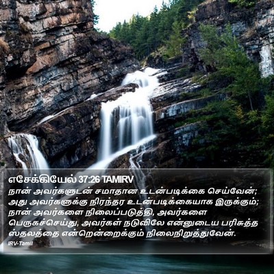 எசேக்கியேல் 37:26 TAMIRV Bible Verse Image