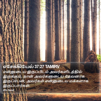 எசேக்கியேல் 37:27 TAMIRV Bible Verse Image