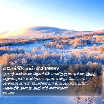 எசேக்கியேல் 37:3 TAMIRV Bible Verse Image