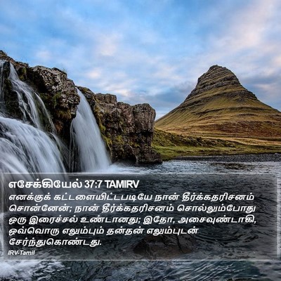 எசேக்கியேல் 37:7 TAMIRV Bible Verse Image