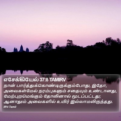 எசேக்கியேல் 37:8 TAMIRV Bible Verse Image