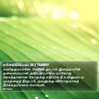 எசேக்கியேல் 38:2 TAMIRV Bible Verse Image