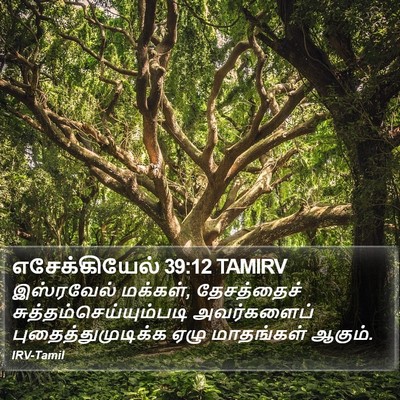 எசேக்கியேல் 39:12 TAMIRV Bible Verse Image
