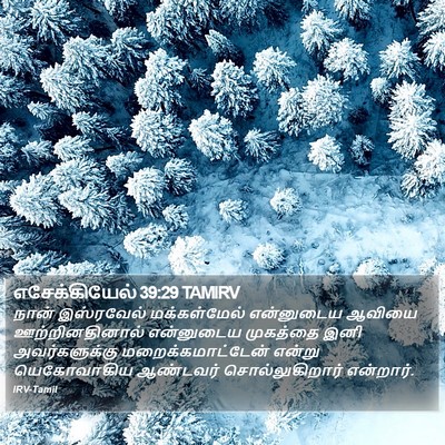 எசேக்கியேல் 39:29 TAMIRV Bible Verse Image
