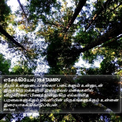 எசேக்கியேல் 39:4 TAMIRV Bible Verse Image