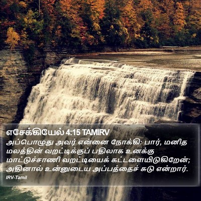 எசேக்கியேல் 4:15 TAMIRV Bible Verse Image
