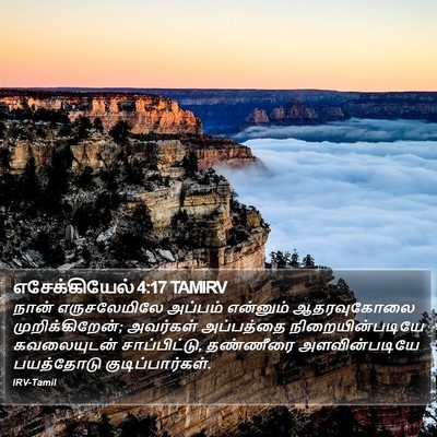 எசேக்கியேல் 4:17 TAMIRV Bible Verse Image