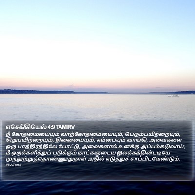 எசேக்கியேல் 4:9 TAMIRV Bible Verse Image