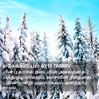 எசேக்கியேல் 40:11 TAMIRV Bible Verse Image