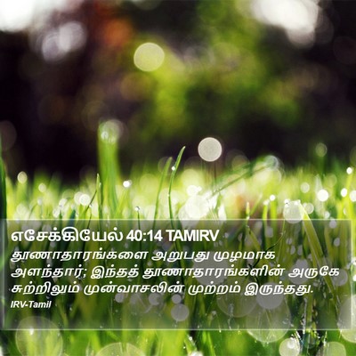 எசேக்கியேல் 40:14 TAMIRV Bible Verse Image