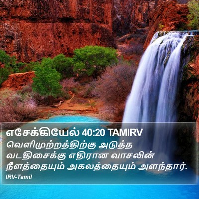 எசேக்கியேல் 40:20 TAMIRV Bible Verse Image