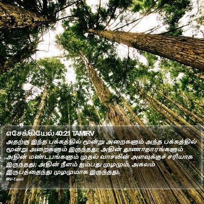எசேக்கியேல் 40:21 TAMIRV Bible Verse Image